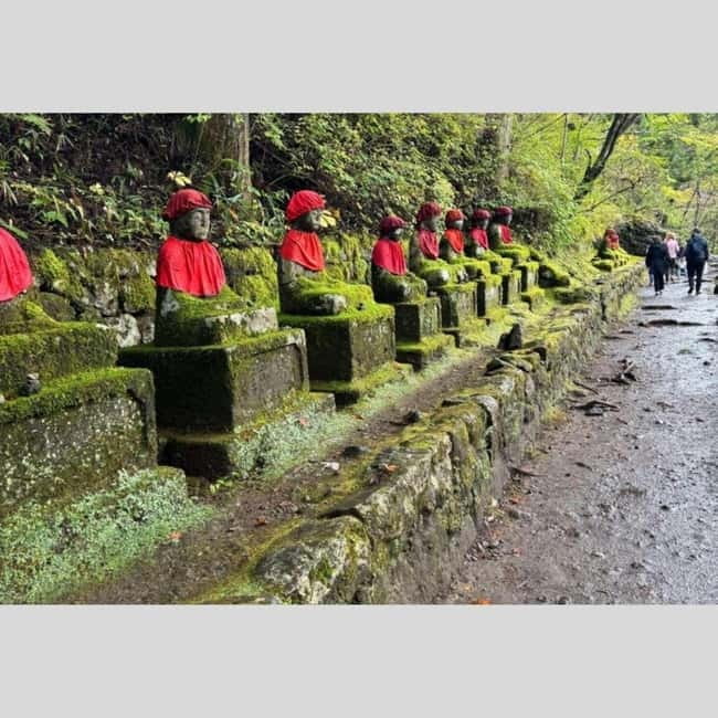 Tokyo: Nikko World Heritage Private Day Trip Hotel Pick-up - Toshogu Shrine and the Tokugawa legacy