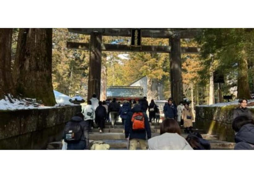 Tokyo: Nikko World Heritage Private Day Trip Hotel Pick-up - Shinkyo Bridge: a quick, graceful introduction