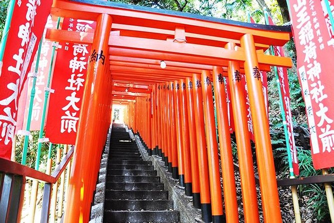 Tokyo Off the Beaten Path 6hr Private Tour with Licensed Guide - Yanaka, Nezu, and Sendagi: old Tokyo without the crowds