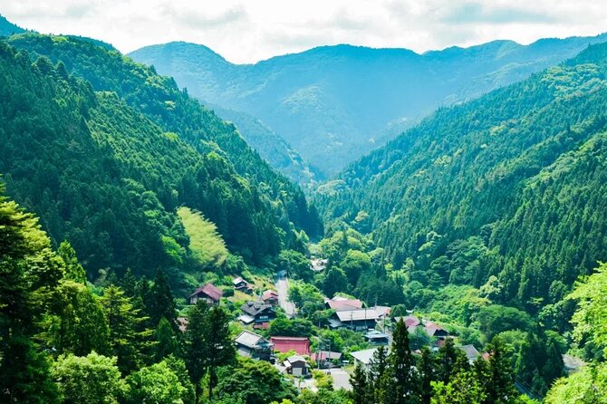 Tokyo Okutama Day Trip Tour - From Tokyo Streets to Okutama Forests
