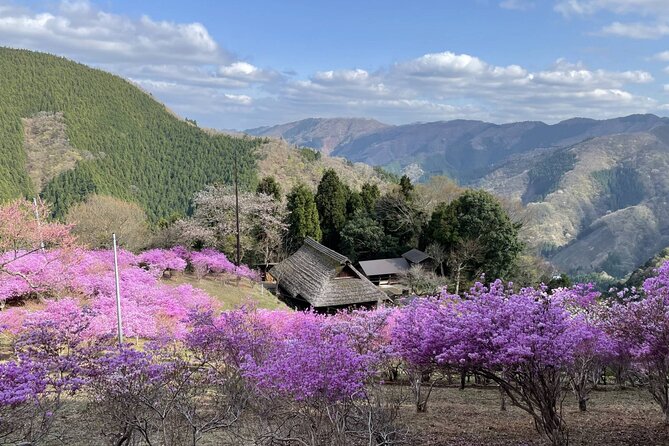 Tokyo Okutama Day Trip Tour - What the $165.13 Price Really Covers