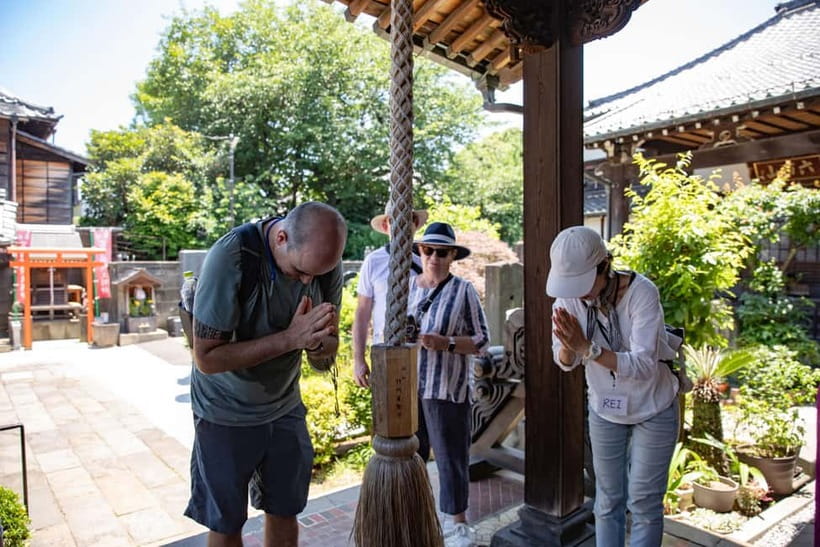 Tokyo: Old Quarter Yanaka Walking Tour - Nezu Shrine and the final walk to Yanaka Ginza