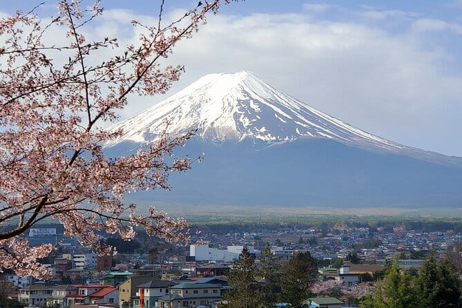 Tokyo: Pre Japan Planning Kit: Itineraries, Food & Survival - The freedom and limits of self-guided Tokyo