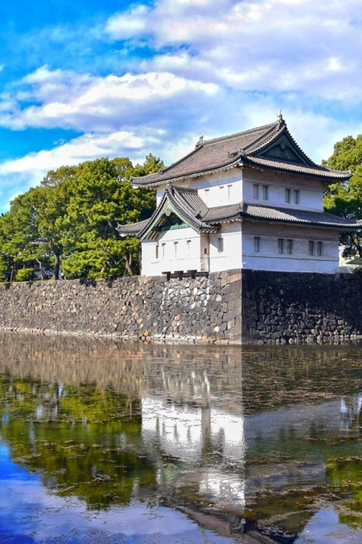 Tokyo: Private City Highlights Tour with Local Guide - Imperial Palace gardens: space, power, and a quiet pause
