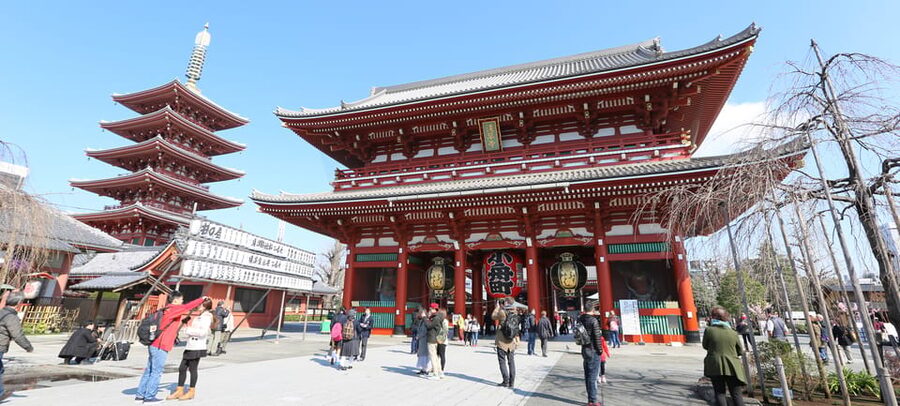 Tokyo: Private City Highlights Tour with Local Guide - Tsukiji Market: food, timing, and a practical lunch stop