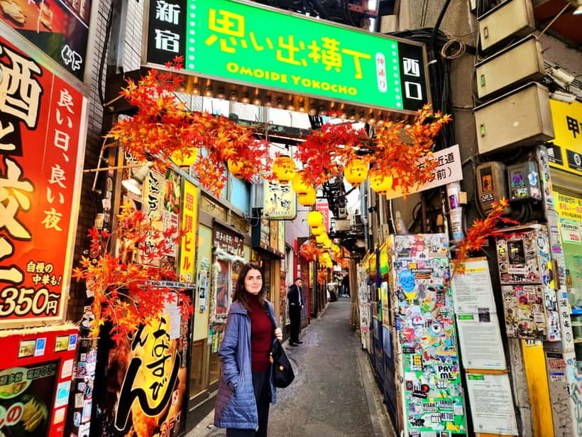 Tokyo: Private & Customizable Tour - All-in-One Experience - Key Points to Know