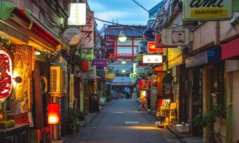 Tokyo: Private & Customizable Tour - All-in-One Experience - Price, Extras, and Overall Value