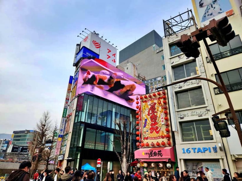 Tokyo: Private & Customizable Tour - All-in-One Experience - Tsukiji, Shibuya, Shrines, and Local Food