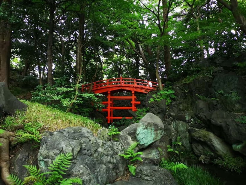 Tokyo: Private & Customizable Tour - All-in-One Experience - Learning Tokyo’s Metro Instead of Just Following