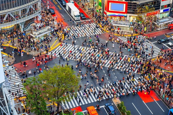 Tokyo Private Customizable Tour with English Speaking Chauffeur - How the day is shaped around your interests