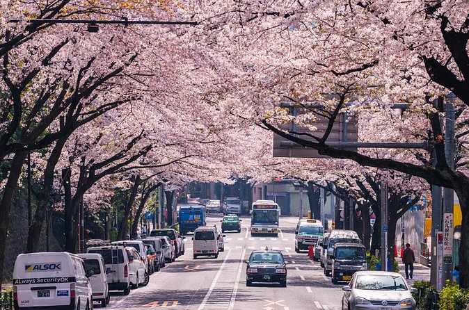 Tokyo Private Customizable Tour with English Speaking Chauffeur - Tsukiji Outer Market and a practical lunch break