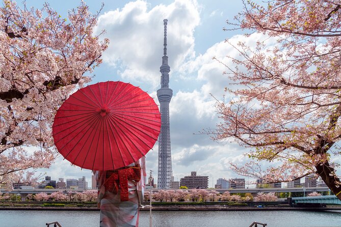 Tokyo Private Customizable Tour with English Speaking Chauffeur - Senso-ji Temple and the old streets of Asakusa