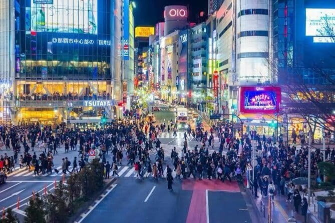Tokyo Private Day Tour by Car with English speaking Driver - Why a private car helps in enormous Tokyo