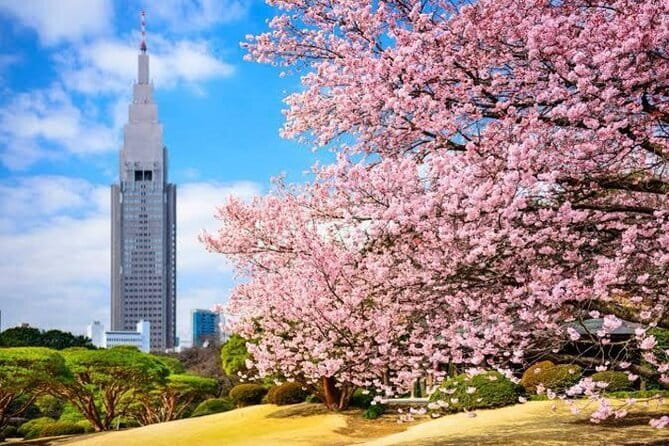 Tokyo Private Day Tour by Car with English speaking Driver - Senso-ji: your first taste of old Tokyo