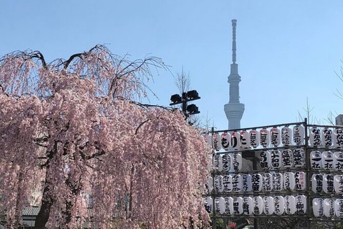 Tokyo Private Day Tour by Car with English speaking Driver Guide - Takeshita Street closes the day with Harajuku style