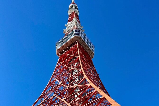 Tokyo Private Day Tour by Car with English speaking Driver Guide - The driver makes or breaks the experience