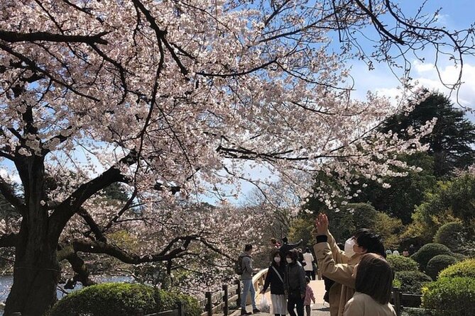 Tokyo Private Day Tour by Car with English speaking Driver Guide - Is $391.92 a fair price for your group?