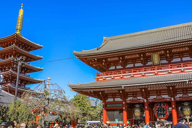 Tokyo Private Day Trip - Enjoy Your First-Time Visit to Tokyo! - What the guides add to the day
