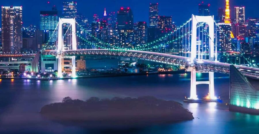 Tokyo Private Day Trip With English Speaking Driver - Tsukiji Outer Market and the question of lunch