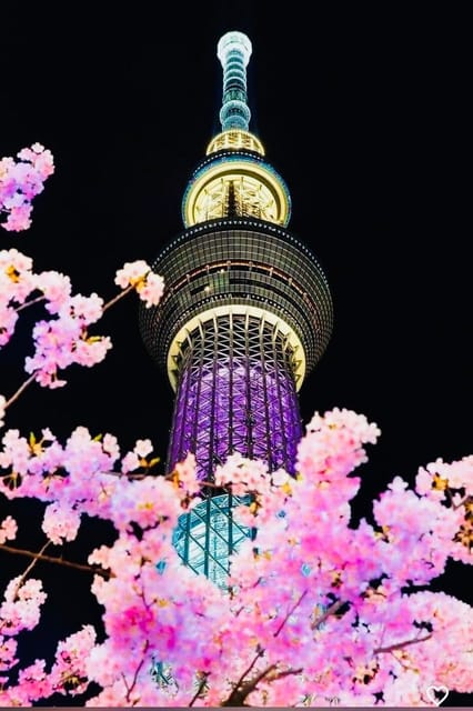 Tokyo Private Day Trip With English Speaking Driver - Shibuya Crossing, Meiji Shrine, and Harajuku
