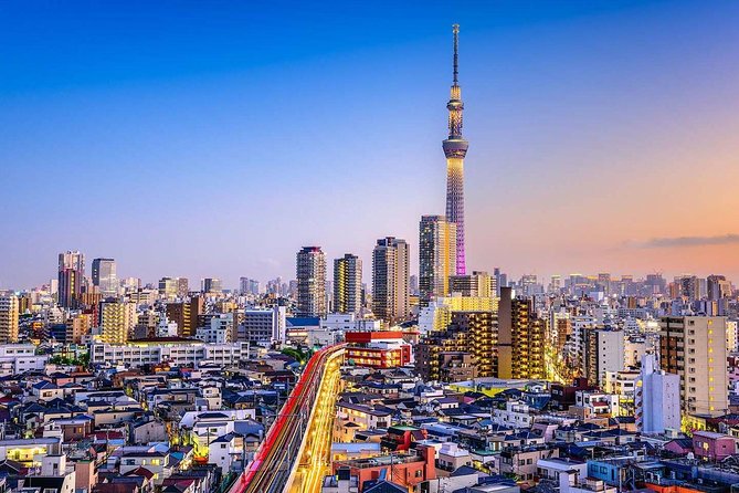 Tokyo Private Full-Day Tour by Car or Van - Imperial Palace East Gardens and the Edo Castle ruins