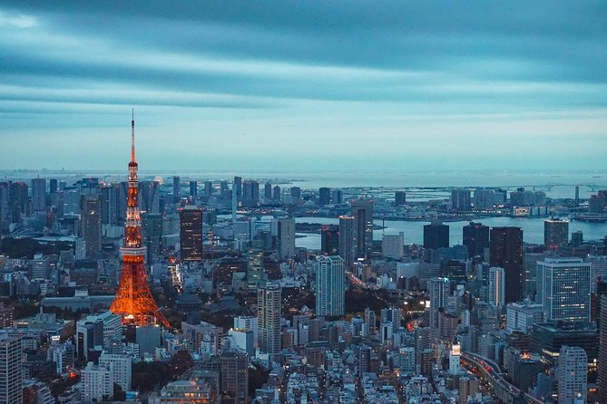 Tokyo Private Full-Day Tour by Car or Van - Meiji Shrine, Yoyogi Park, and Takeshita Street