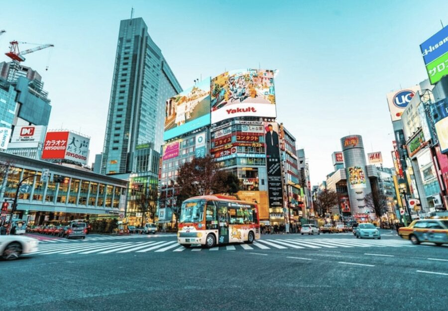 Tokyo: Private Guided Tour with Hotel Pickup and Drop-off - A private car changes how you see Tokyo