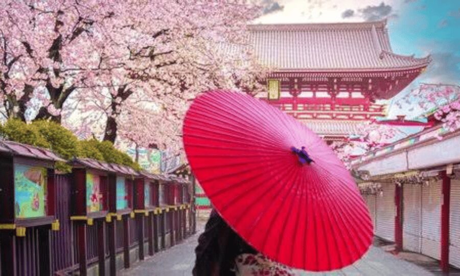 Tokyo: Private Guided Tour with Hotel Pickup and Drop-off - Senso-ji and Asakusa: Tokyo’s traditional face
