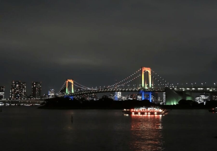 Tokyo: Private Guided Tour with Hotel Pickup and Drop-off - Tokyo Skytree: big views, possible waiting