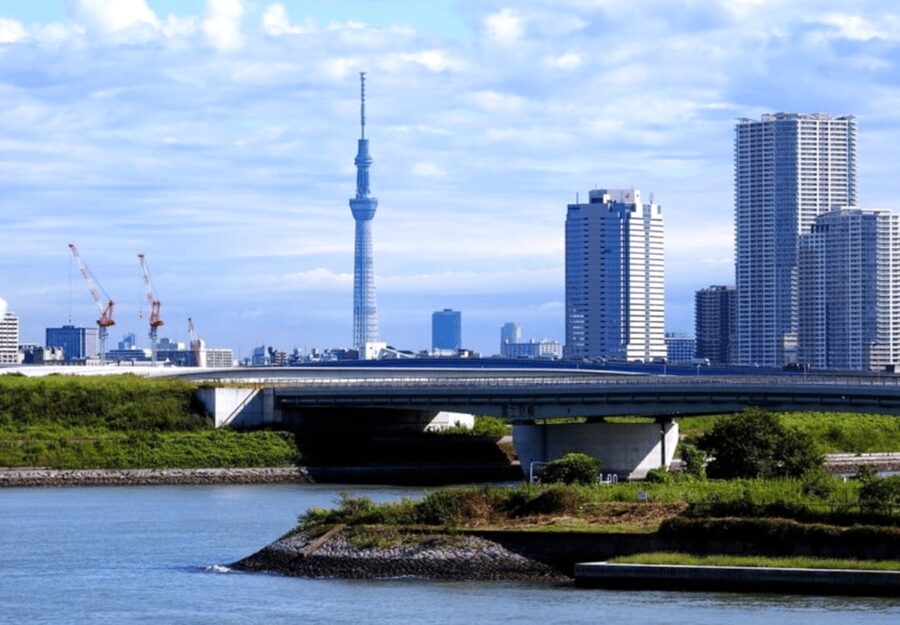Tokyo: Private Guided Tour with Hotel Pickup and Drop-off - Meiji Shrine and Harajuku: quiet trees beside youth culture