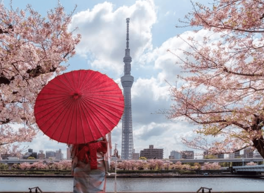 Tokyo: Private Guided Tour with Hotel Pickup and Drop-off - Shibuya and Harajuku: modern Tokyo in close-up
