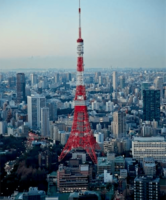 Tokyo: Private Guided Tour with Hotel Pickup and Drop-off - Odaiba: a futuristic finish across the bay