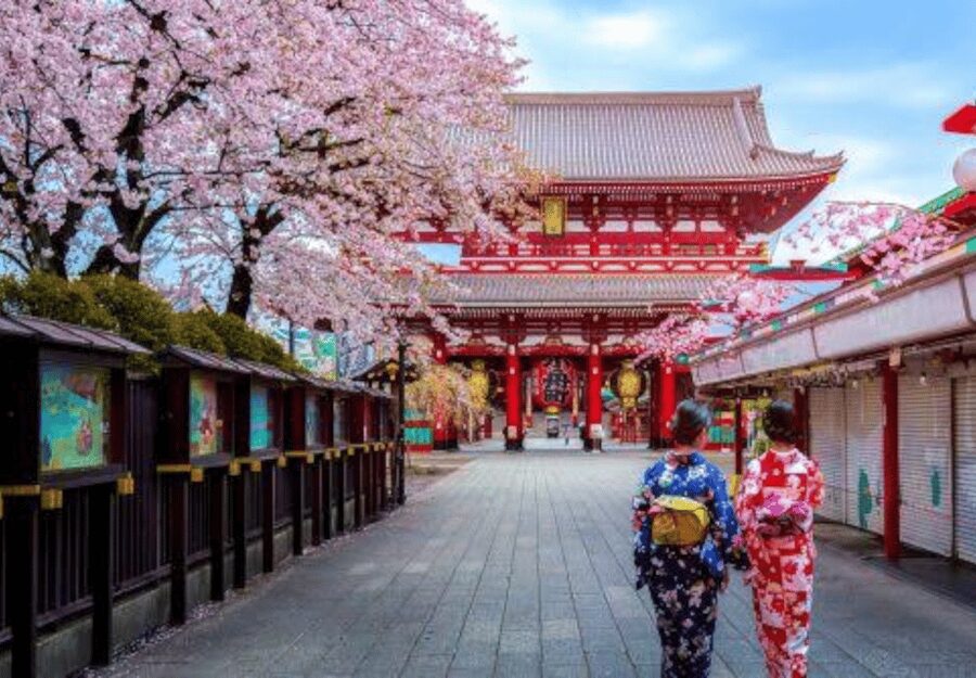 Tokyo: Private Guided Tour with Hotel Pickup and Drop-off - What the guide actually adds