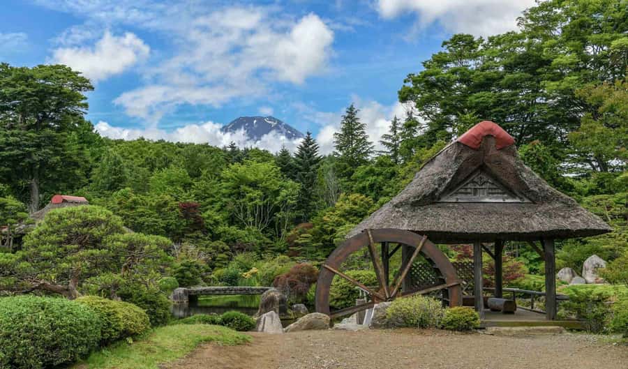 Tokyo: Private Mount Fuji Tour with Pickup and Drop-Off - Arakurayama Sengen Park and other possible stops
