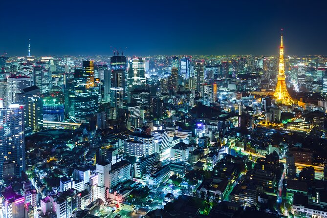 Tokyo Private Sightseeing Tour by Car and English Speaking Driver - Why a Private Car Makes Sense in Tokyo