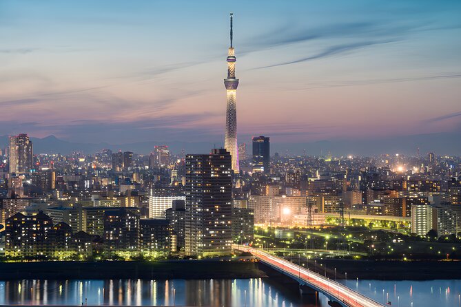 Tokyo Private Sightseeing Tour by Car and English Speaking Driver - What the Driver Adds to the Day