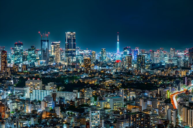 Tokyo Private Sightseeing Tour by Car and English Speaking Driver - Comfort, Mobility, and What Is Included