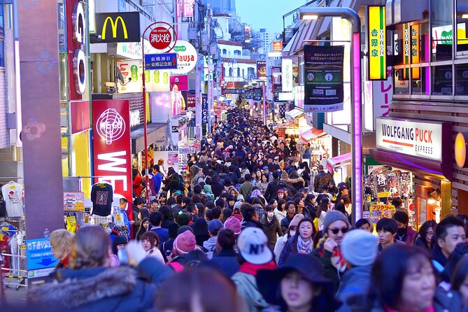 Tokyo Private Sightseeing Tour by Car- English speaking chauffeur - Tokyo Skytree and Tokyo Tower are two different views