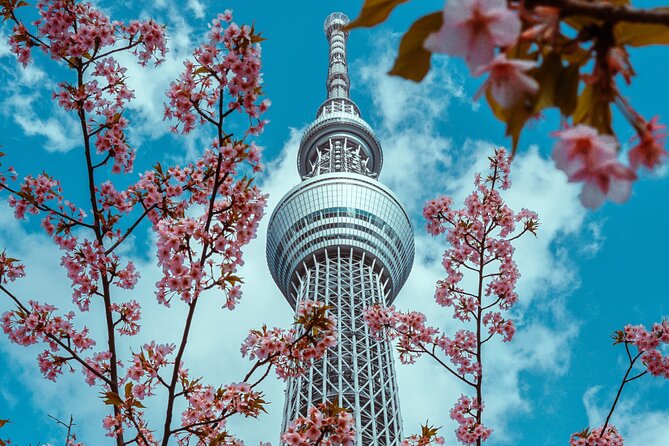 Tokyo Private Sightseeing Tour by Car- English speaking chauffeur - Ginza, Takeshita Street, and Omotesando show three sides of modern Tokyo