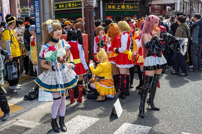 Tokyo Private Sightseeing Tour by Car- English speaking chauffeur - Shibuya Crossing is best treated as a flexible finale