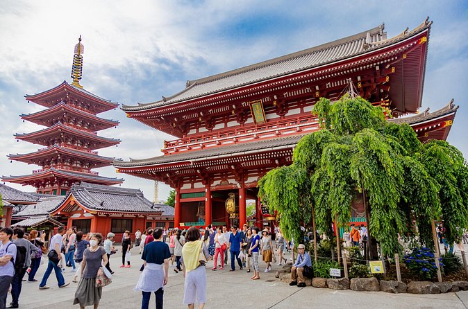 Tokyo Private Sightseeing Tour by Car - English speaking driver - Ginza for a short look at polished Tokyo