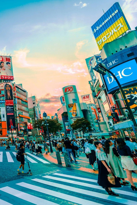 Tokyo: Private Tailored Tour with a Local Guide - Nakano Broadway for a different kind of city culture