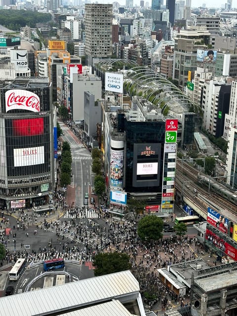 Tokyo: Private Tailored Tour with a Local Guide - Shinjuku views and Omoide Yokocho