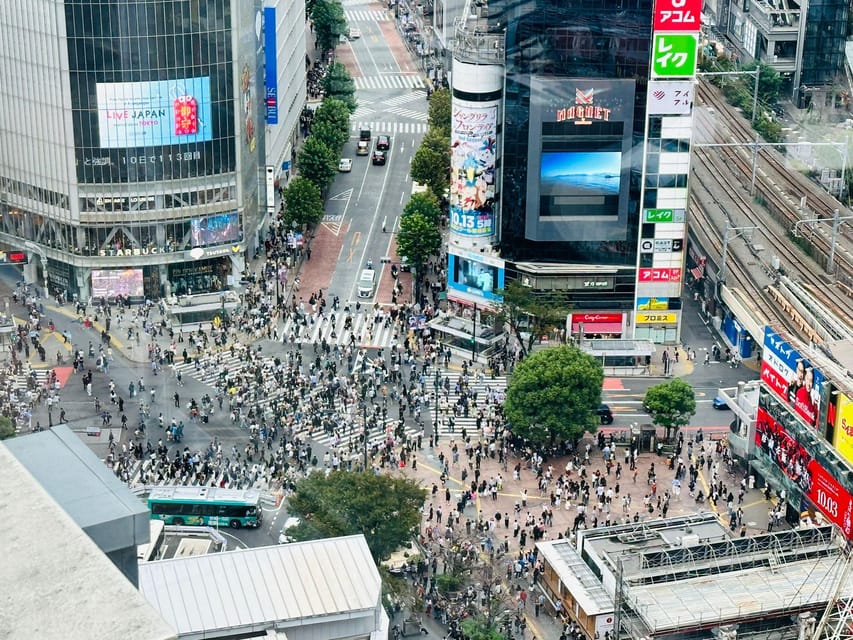 Tokyo: Private Tailored Tour with a Local Guide - How much walking and transit to expect