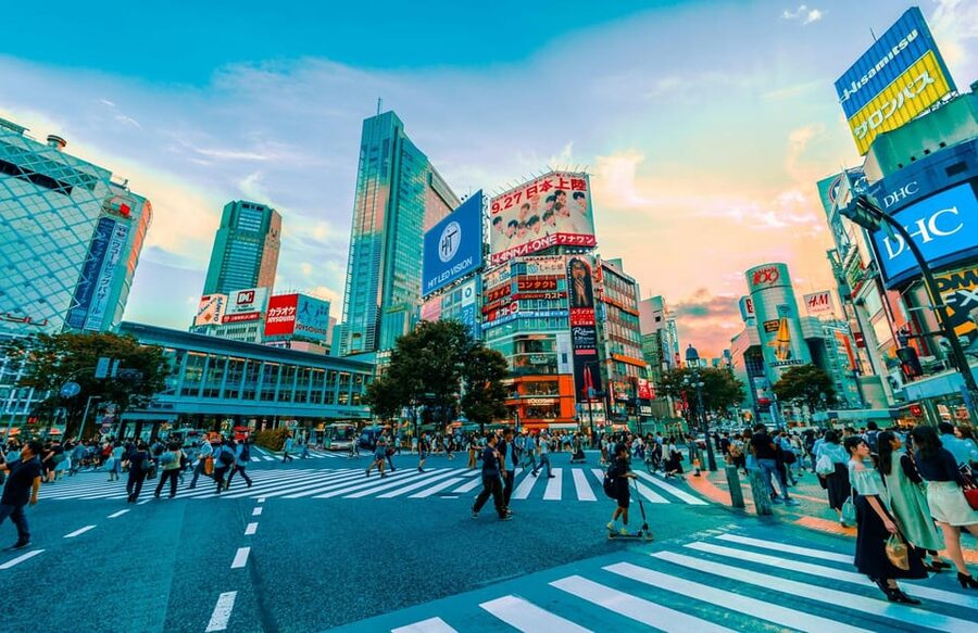 Tokyo: Private Tailored Tour with a Local Guide - The guide makes or breaks the day