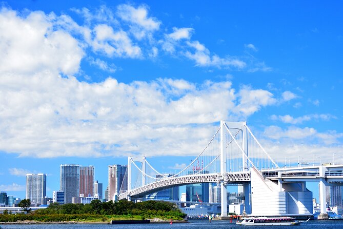 Tokyo Private Tour - Akihabara, where Tokyo turns electric