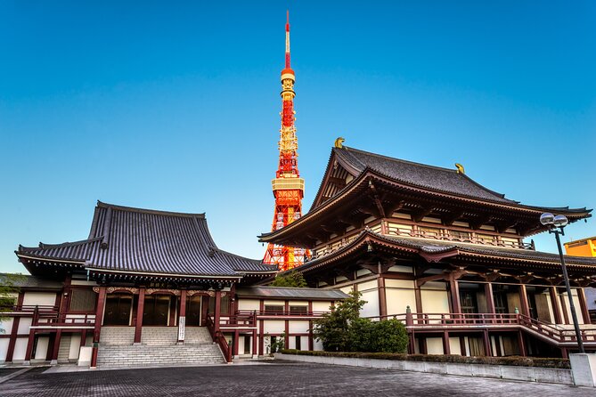 Tokyo Private Tour - Shibuya Crossing and Daikanyama