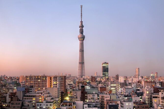 Tokyo Private Tour by Vehicle with English-Speaking Chauffeur - Key details that shape the day