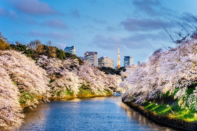 Tokyo Private Tour by Vehicle with English-Speaking Chauffeur - Senso-ji gives you Tokyo’s oldest face