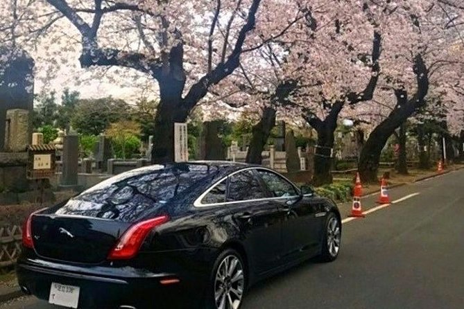Tokyo Private Tour by Vehicle with English-Speaking Chauffeur - Skytree adds height, but the ticket is your choice